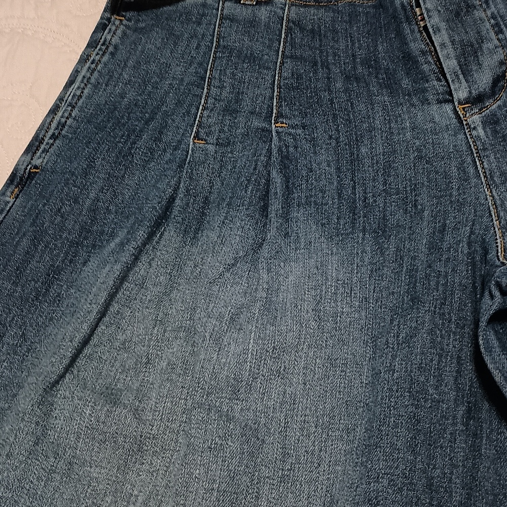 Pilcro and the Letterpress Wide-Leg Blue Denim Culottes - Picture 6 of 9
